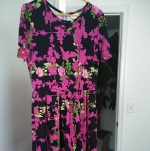 Lularoe Amelia
